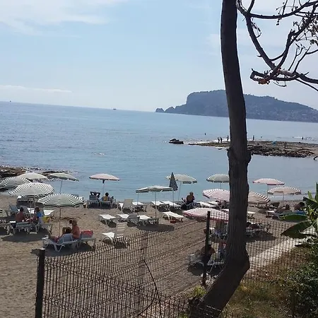Lejlighed Expert Alanya